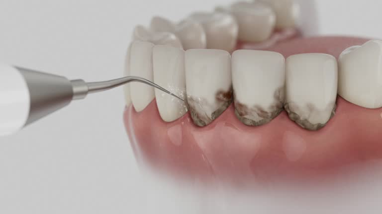 Reliable Dental contractor in Winterville, GA by Dentist Open Now